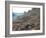 Terraced Vineyards in the Cote Rotie District, Rhone, France-Per Karlsson-Framed Photographic Print