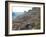Terraced Vineyards in the Cote Rotie District, Rhone, France-Per Karlsson-Framed Photographic Print