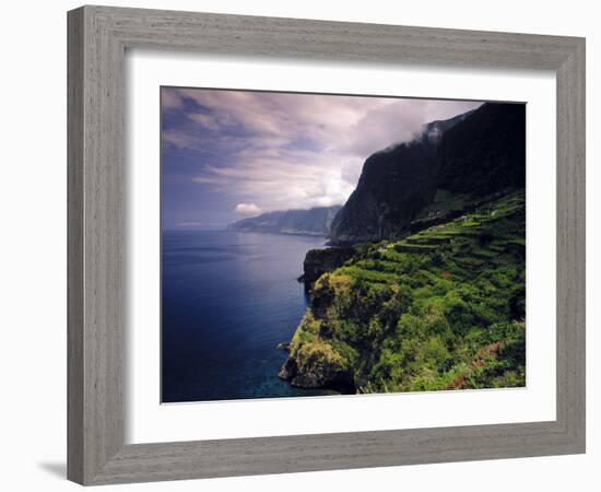 Terraced Vineyards, Seixal, Madeira, Portugal-Walter Bibikow-Framed Photographic Print