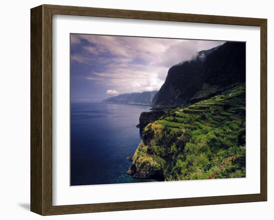 Terraced Vineyards, Seixal, Madeira, Portugal-Walter Bibikow-Framed Photographic Print