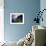 Terraced Vineyards, Seixal, Madeira, Portugal-Walter Bibikow-Framed Photographic Print displayed on a wall