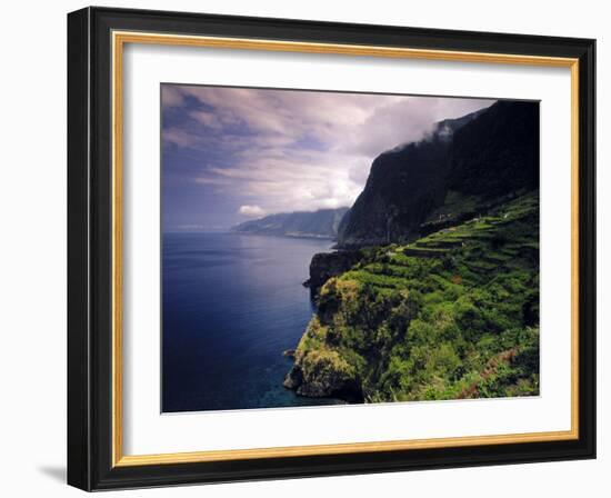 Terraced Vineyards, Seixal, Madeira, Portugal-Walter Bibikow-Framed Photographic Print