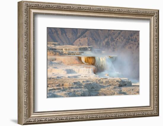 Terraces of Canary Spring-Alan Majchrowicz-Framed Photographic Print