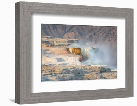 Terraces of Canary Spring-Alan Majchrowicz-Framed Photographic Print