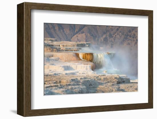 Terraces of Canary Spring-Alan Majchrowicz-Framed Photographic Print