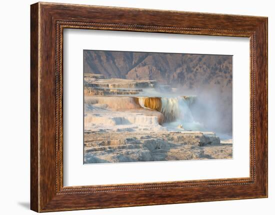 Terraces of Canary Spring-Alan Majchrowicz-Framed Photographic Print