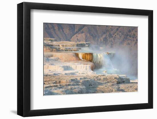 Terraces of Canary Spring-Alan Majchrowicz-Framed Photographic Print