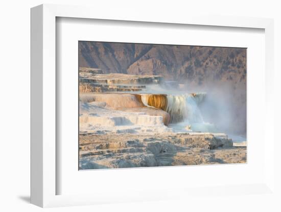 Terraces of Canary Spring-Alan Majchrowicz-Framed Photographic Print