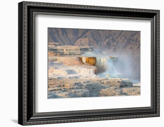 Terraces of Canary Spring-Alan Majchrowicz-Framed Photographic Print