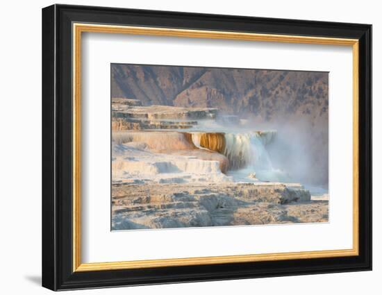 Terraces of Canary Spring-Alan Majchrowicz-Framed Photographic Print