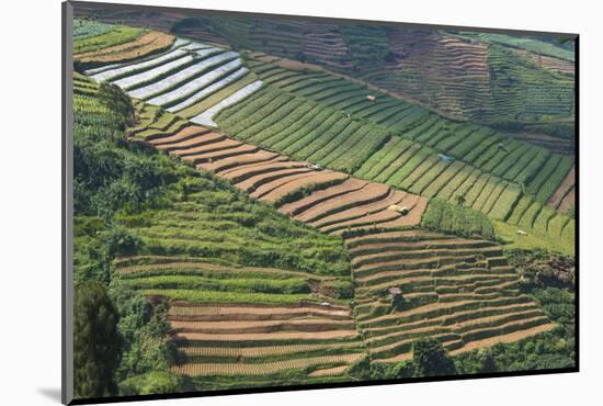 Terraces on Mountain Side, Sindoro-Sumbing Valley, Java, Indonesia-Keren Su-Mounted Photographic Print