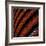 TerracoTTa di BoTTa-Gilbert Claes-Framed Photographic Print