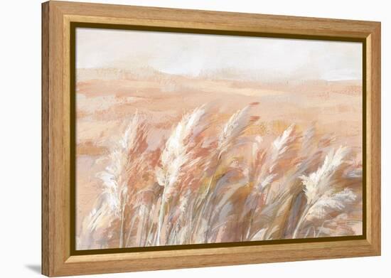 Terracotta Prairie Grasses-Danhui Nai-Framed Stretched Canvas