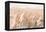 Terracotta Prairie Grasses-Danhui Nai-Framed Stretched Canvas