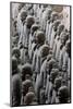 Terracotta Soldiers at Qin Shi Huangdi Tomb-null-Mounted Photographic Print