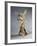 Terracotta Statuette of Victory, from Myrina-null-Framed Giclee Print