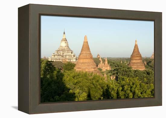 Terracotta Temples of Bagan, Mandalay Division-Annie Owen-Framed Premier Image Canvas