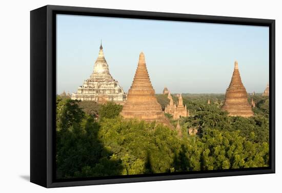 Terracotta Temples of Bagan, Mandalay Division-Annie Owen-Framed Premier Image Canvas