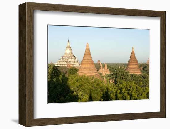 Terracotta Temples of Bagan, Mandalay Division-Annie Owen-Framed Photographic Print