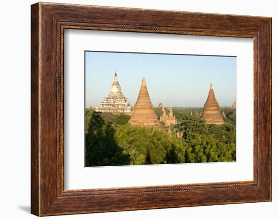Terracotta Temples of Bagan, Mandalay Division-Annie Owen-Framed Photographic Print