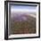 Terraforming Mars-Detlev Van Ravenswaay-Framed Premium Photographic Print