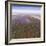 Terraforming Mars-Detlev Van Ravenswaay-Framed Premium Photographic Print