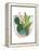 Terrarium Cameo V-June Vess-Framed Stretched Canvas