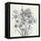 Terrarium Floral-Sheldon Lewis-Framed Stretched Canvas