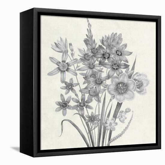 Terrarium Floral-Sheldon Lewis-Framed Stretched Canvas