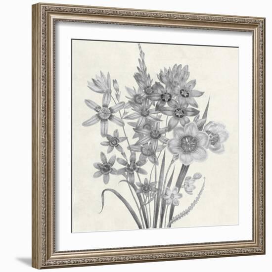 Terrarium Floral-Sheldon Lewis-Framed Art Print
