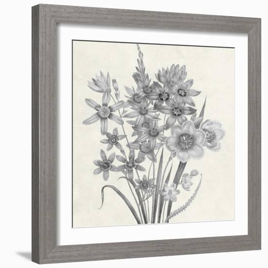 Terrarium Floral-Sheldon Lewis-Framed Art Print