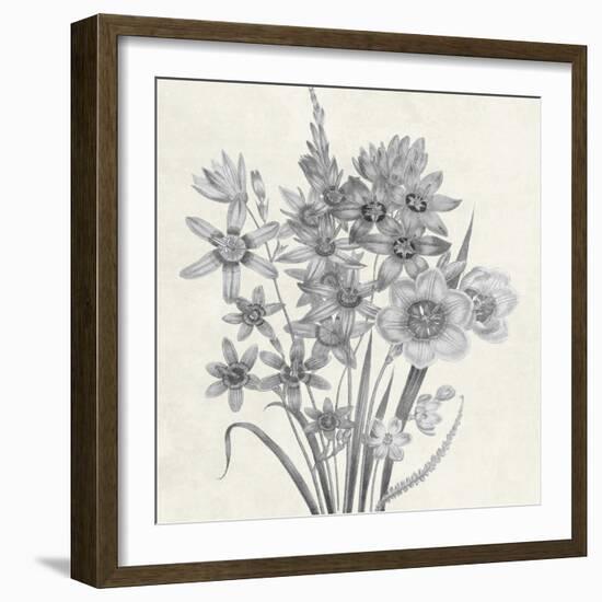 Terrarium Floral-Sheldon Lewis-Framed Art Print