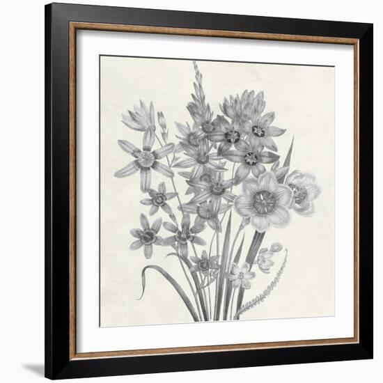 Terrarium Floral-Sheldon Lewis-Framed Art Print