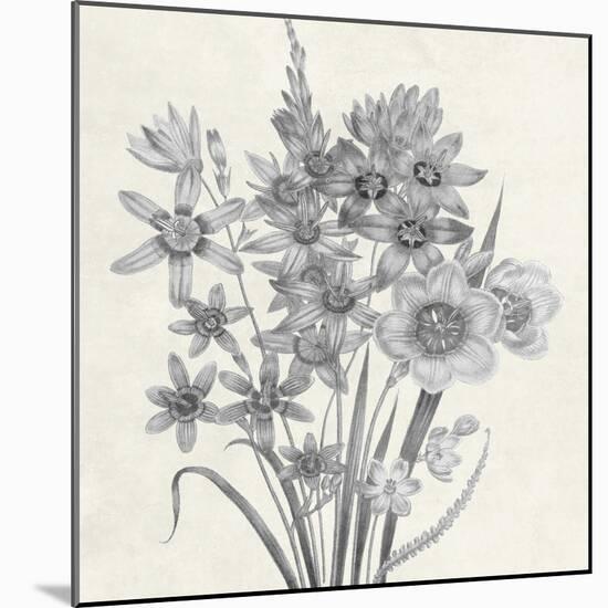 Terrarium Floral-Sheldon Lewis-Mounted Art Print