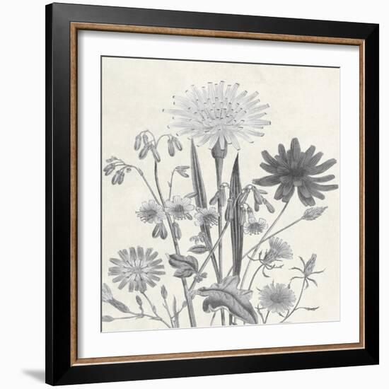 Terrarium Flower-Sheldon Lewis-Framed Art Print