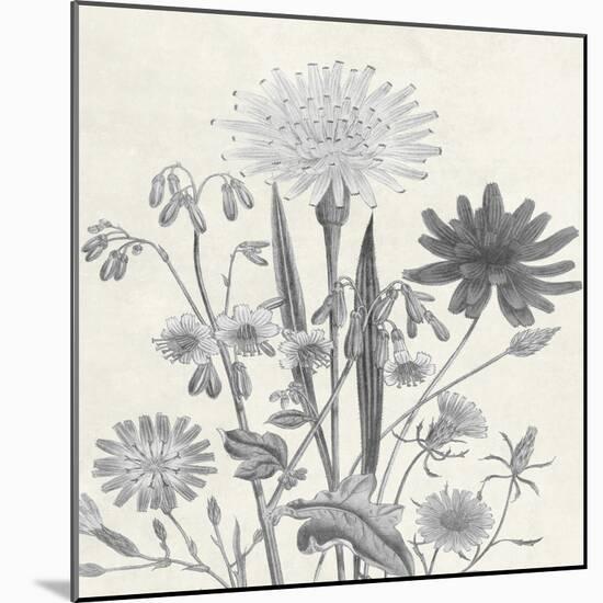 Terrarium Flower-Sheldon Lewis-Mounted Art Print