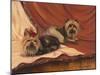 Terrier Couple-Tiffany Hakimipour-Mounted Art Print
