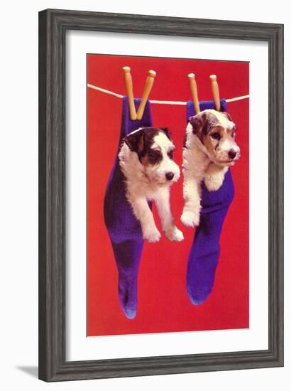 Terrier Puppies in Socks, Retro-null-Framed Art Print