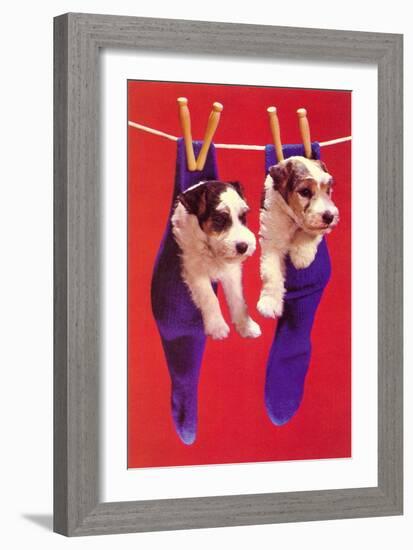 Terrier Puppies in Socks, Retro-null-Framed Art Print