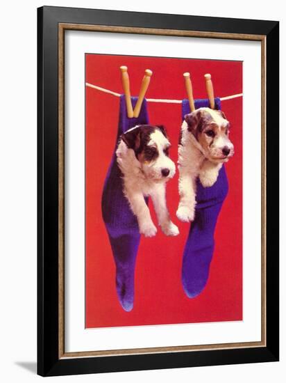 Terrier Puppies in Socks, Retro-null-Framed Art Print