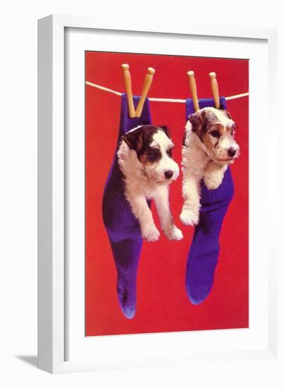 Terrier Puppies in Socks, Retro-null-Framed Art Print