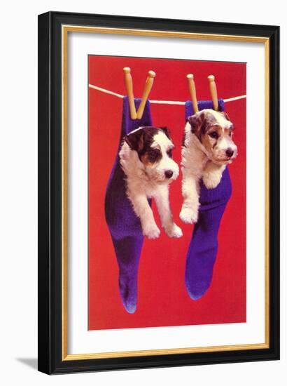 Terrier Puppies in Socks, Retro-null-Framed Art Print