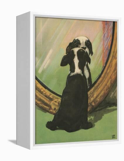 Terrier Trouble IV-null-Framed Stretched Canvas