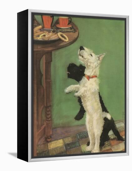 Terrier Trouble V-null-Framed Stretched Canvas