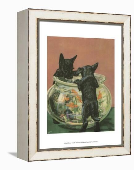 Terrier Trouble VI-null-Framed Stretched Canvas