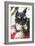 Terrier-Karyn Millet-Framed Photographic Print