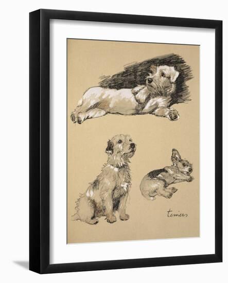 Terriers, 1930, Just Among Friends, Aldin, Cecil Charles Windsor-Cecil Aldin-Framed Giclee Print