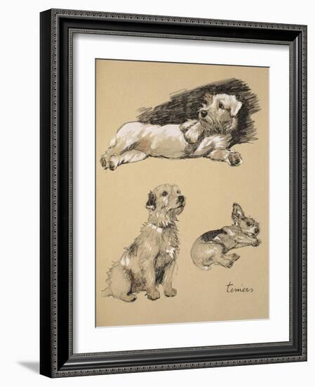 Terriers, 1930, Just Among Friends, Aldin, Cecil Charles Windsor-Cecil Aldin-Framed Giclee Print