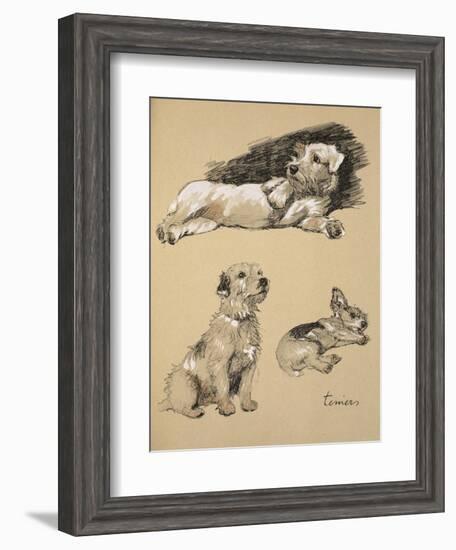 Terriers, 1930, Just Among Friends, Aldin, Cecil Charles Windsor-Cecil Aldin-Framed Giclee Print