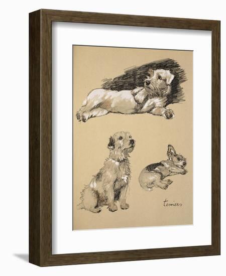 Terriers, 1930, Just Among Friends, Aldin, Cecil Charles Windsor-Cecil Aldin-Framed Giclee Print